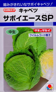 yqzLxc T{CG[XSP ^LCc̃^l