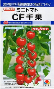 ��؎�q �~�j�g�}�g CF��� �^�L�C��c�̃^�l �_�ѐ��Y�ȓo�^�i�� �o�^���FTTM019