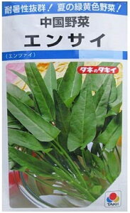 ��؎�q ������� �G���T�C �^�L�C��c�̃^�l