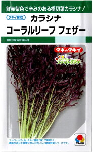 ؎q JVi R[[t tFU[^LCc̃^l _ѐYȓo^i햼FTTK457