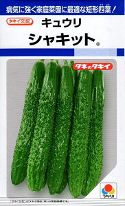 ��؎�q �L���E�� �V���L�b�g �^�L�C��c�̃^�l