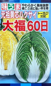 yqzccnNTC 啟60 g[zÑ^l