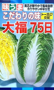 yqznNTC 啟75 g[zÑ^l