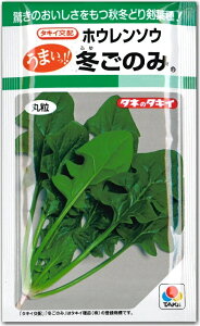 yqzzE\E ~̂ ^LCc̃^l