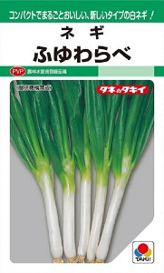 【種子】ネギ ふゆわらべ タキイ種苗のタネ