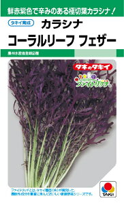 yqzJVi R[[t tFU[^LCc̃^l _ѐYȓo^i햼FTTK457