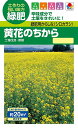 【種子】緑肥用からしな（シロカラシ）黄花のちから タキイ種苗のタネ