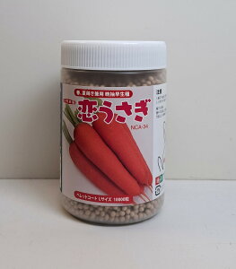 yqzjW  10000 ybg igc̃^l y񂹕iz