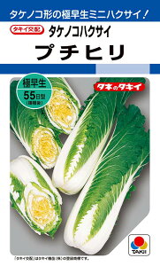 yqz ^PmRnNTC v`q ^LCc̃^l