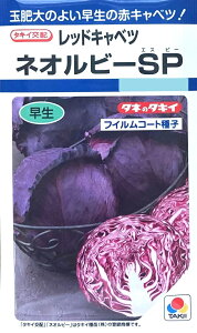 yqzbhLxc lIr[SP ^LCc̃^l