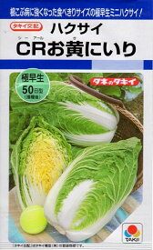 【種子】ミニハクサイ（白菜）CRお黄にいり タキイ種苗のタネ