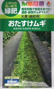 ��؎�q �唞(�Δ�p) �����������M �^�L�C��c�̃^�l