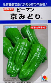 【種子】ピーマン 京みどりタキイ種苗のタネ