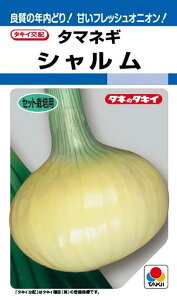 ��؎�q �^�}�l�M �V������ �^�L�C��c�̃^�l