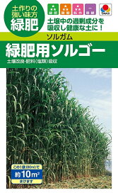 【種子】ソルガム 緑肥用ソルゴー（60ml）タキイ種苗のタネ