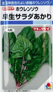 ؎q zE\E T_ ^LCc̃^l