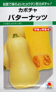 ؎q J{` o^[ibc ^LCc̃^l