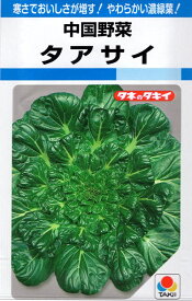 【種子】中国野菜 タアサイ タキイ種苗のタネ