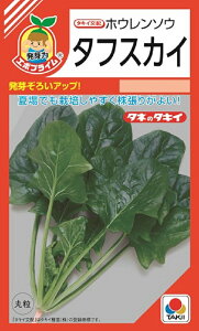 yqzzE\E ^tXJC ^LCc̃^l