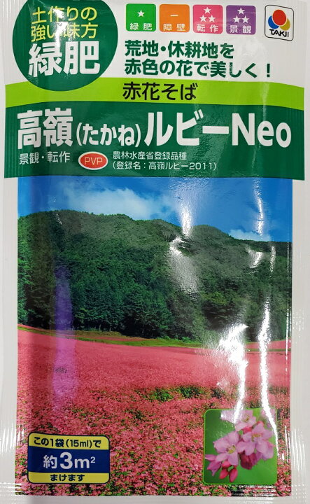 楽天市場 種子 高嶺ルビーneo 赤花そばタキイ種苗のタネ 農林水産省登録品種 登録名 高嶺ルビー11 Ivy