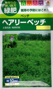 yqzxb` wA[xb` ii햼iCj^LCc̃^l