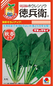 ؎q zE\E q G{vCq ^LCc̃^l