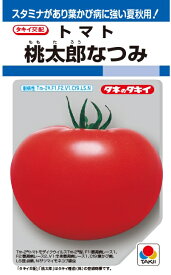【種子】トマト 桃太郎なつみ タキイ種苗のタネ