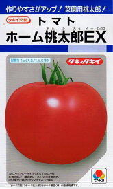 【種子】トマト ホーム桃太郎EX タキイ種苗のタネ