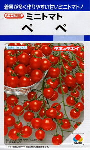 ��؎�q �~�j�g�}�g �y�y �^�L�C��c�̃^�l