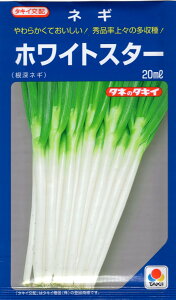 ��؎�q �l�M �z���C�g�X�^�[�i���[�l�M�j20ml �^�L�C��c�̃^�l