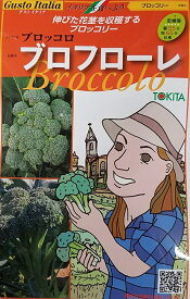【種子】Gusto Italia グストイタリアブロッコリー ブロッコロ ブロフローレ トキタ種苗のタネ
