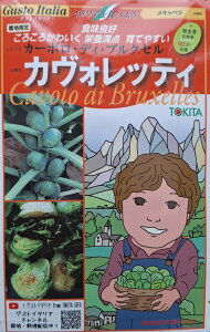 ؎q Gusto Italia Lxc J[{EfBEuNZ JHbeB gL^c̃^l