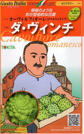 【種子】Gusto Italia カリフラワーカーヴォル フィオーレ（ロマネスコタイプ）ダ・ヴィンチ トキタ種苗のタネ