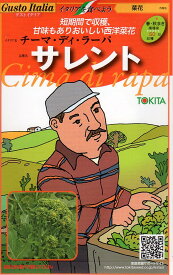 【種子】Gusto Italia 菜花チーマ・ディ・ラーパ サレントトキタ種苗のタネ