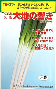 ؎q lM n̋(TSX-518)  gL^c̃^l