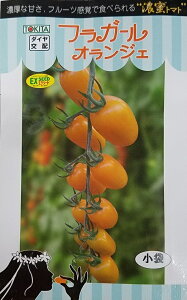 ��؎�q �~�j�g�}�g �t���K�[�� �I�����W�F �g�L�^��c�̃^�l