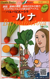 ؎q Gusto Italia OXgC^A r[c oorG[g i gL^c̃^l