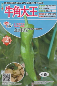 ��؎�q �h�R�� �g�E�K���V ���p�剤 �g�L�^��c�̃^�l