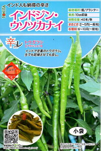 ��؎�q �h�R�� �g�E�K���V �C���h�W���E�E�\�c�J�i�C �g�L�^��c�̃^�l