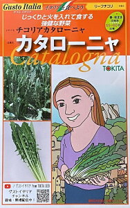 ؎q Gusto Italia [t`R `RA J^[j J^[j gL^c̃^l