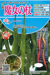 ��؎�q �h�R�� �g�E�K���V �����̏� �g�L�^��c�̃^�l