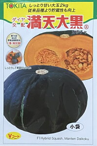 ��؎�q �J�{�`�� ���V�单 �g�L�^��c�̃^�l