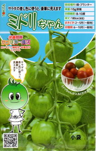 ��؎�q �~�j�g�}�g �~�h������� �g�L�^��c�̃^�l