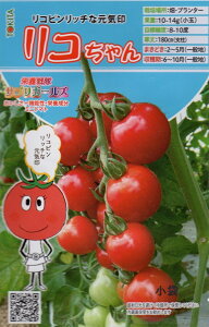 ��؎�q �~�j�g�}�g ���R����� �g�L�^��c�̃^�l