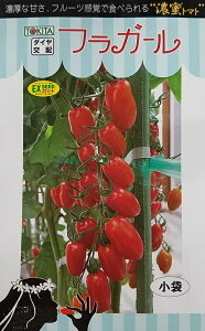 ��؎�q �~�j�g�}�g �t���K�[�� �g�L�^��c�̃^�l