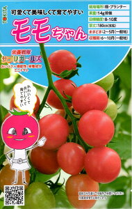 ��؎�q �~�j�g�}�g ��������� �g�L�^��c�̃^�l