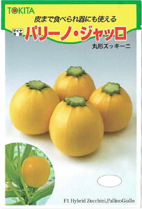 ��؎�q �ی`�Y�b�L�[�j �p���[�m�E�W���b�� 100�� �g�L�^��c�̃^�l