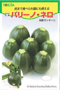 �y��q�z�ی`�Y�b�L�[�j �p���[�m�E�l�� 100�� �g�L�^��c�̃^�l