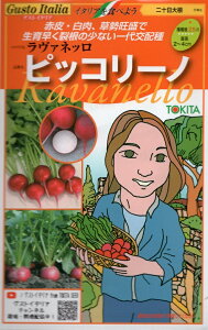 ��؎�q Gusto Italia ��\���卪 �����@�l�b�� �s�b�R���[�m �g�L�^��c�̃^�l