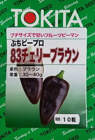 【種子】フルーツピーマン ぷちピープロ 83 チェリーブラウン トキタ種苗のタネ